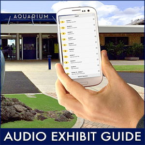 Audio Guide
