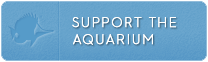 Waikiki Aquarium UH Foundation Donation Button