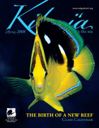Kilo i'a Magazine Spring 2008, Yellow fish cover, Waikiki Aquarium, Hawaii