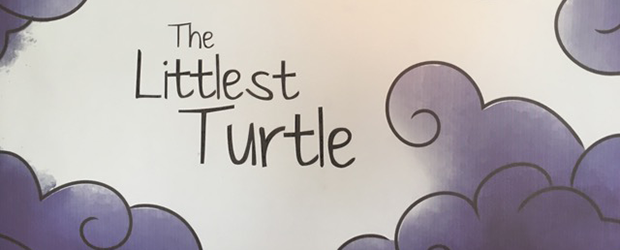 little-turtle-header