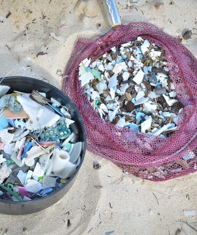 Beach Cleanup Plastic Pieces