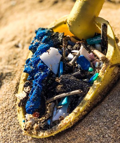 Beach Cleanup Plastics Scoop