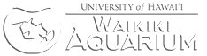 Waikiki Aquarium Logo