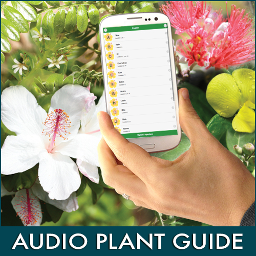 Plant Guide