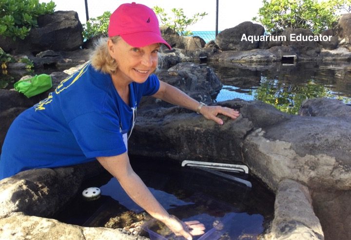 Volunteer at the Aquarium, Volunteer