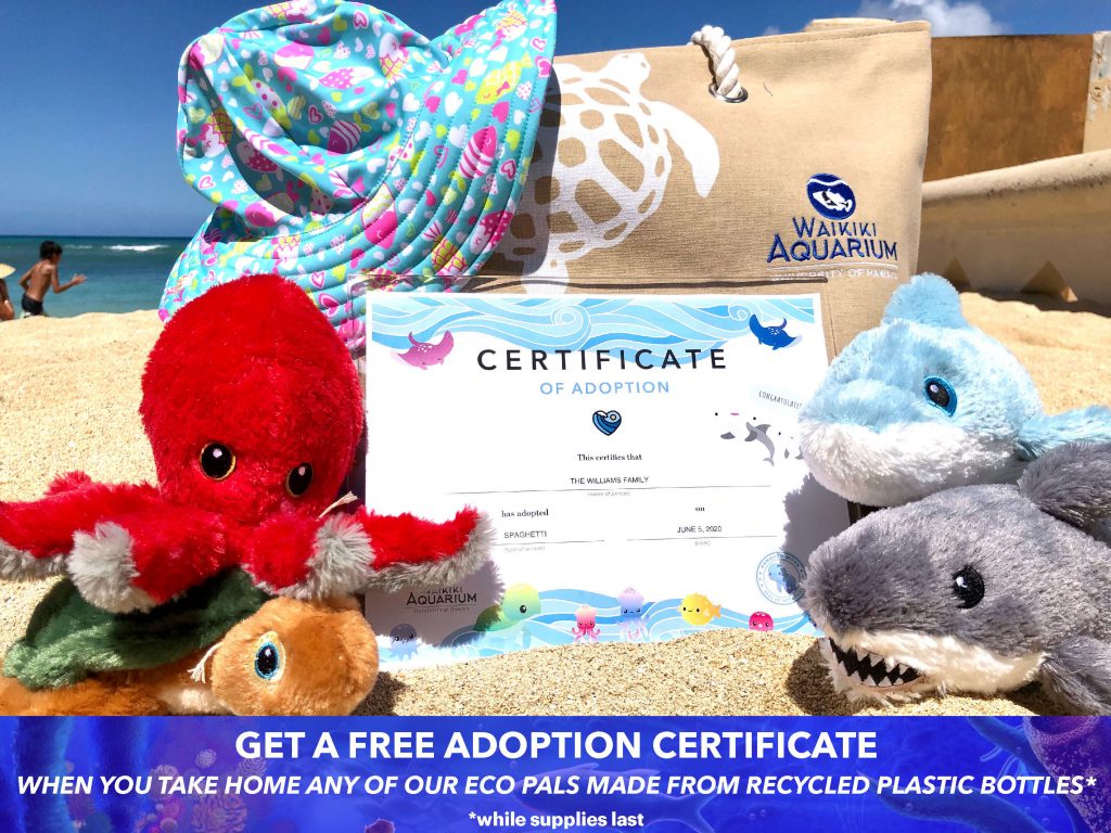 London Aquarium Gift Shop / Baltimore Aquarium Gift Shop / Free returns 100% satisfaction guarantee fast shipping.