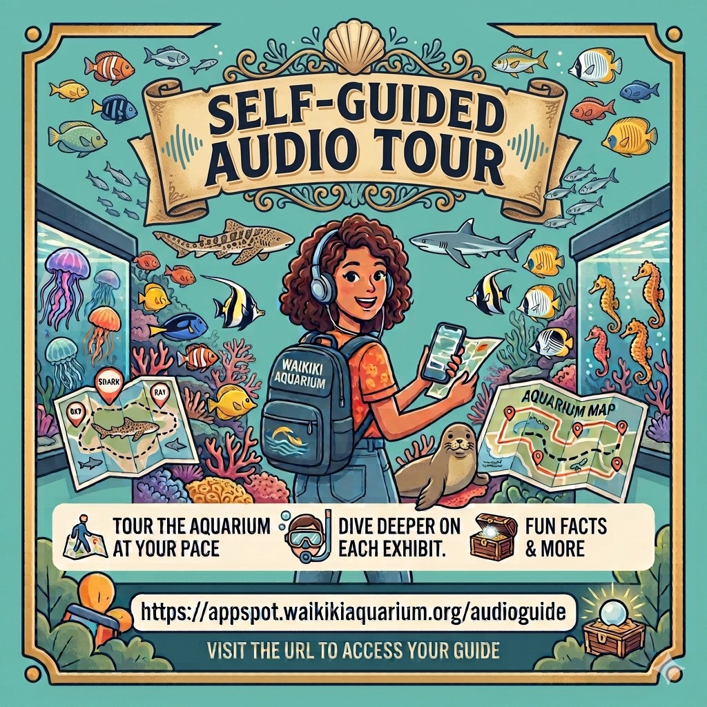 Audio Guide