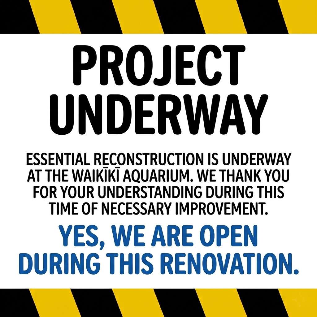 Renovation Ongoing