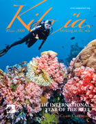 Kilo i'a Magazine Winter 2008, Diver and coral reef cover, Waikiki Aquarium, Hawaii